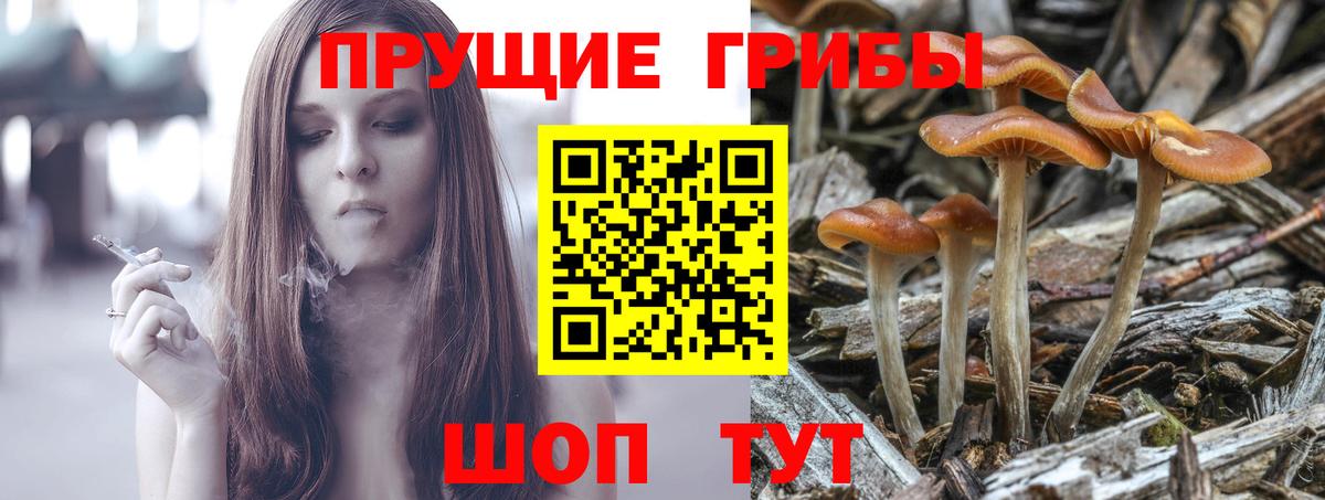 Псилоцибиновые грибы Cubensis  Вход с VPN  купить наркотик  Новороссийск 